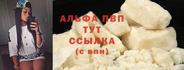 прущие грибы Армянск