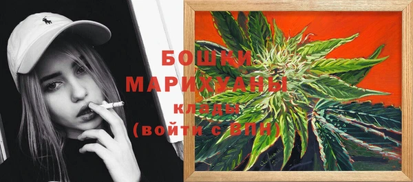 прущие грибы Армянск