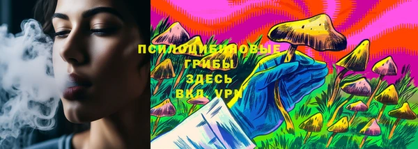 прущие грибы Армянск