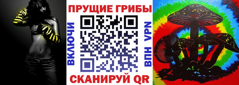 Псилоцибиновые грибы Psilocybe  Саки 