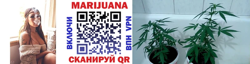 Бошки марихуана OG Kush закладка блэк спрут tor Саки